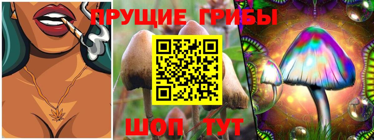 Галлюциногенные грибы ЛСД Красноярск